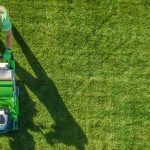What is the Law Maintenance and Lawn Care?