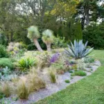 The Benefits of Xeriscaping: Creating a Water-Efficient Landscape