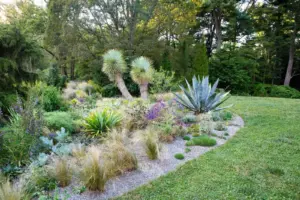 Read more about the article The Benefits of Xeriscaping: Creating a Water-Efficient Landscape