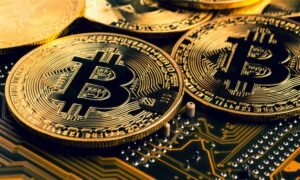 Read more about the article Why are crypto wallets perfect for business operations?