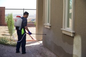 Read more about the article Safeguarding Longview Homes: Effective Pest Control Strategies